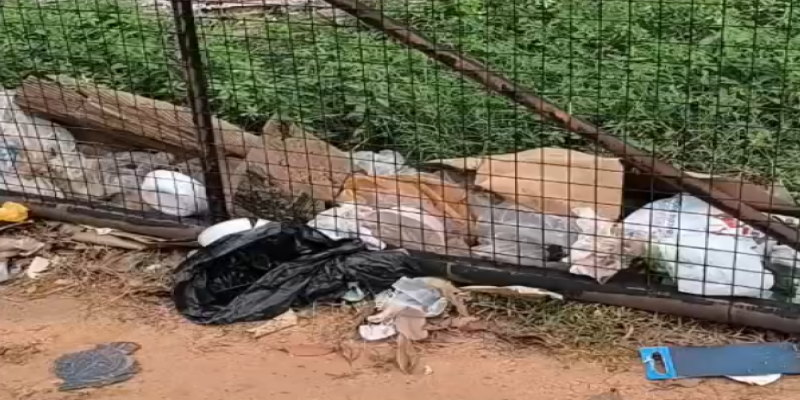 PEDIDO DE PROVIDÊNCIA: Parque dos Tanques segue com lixo 11 dias após fim da Flor do Maracujá