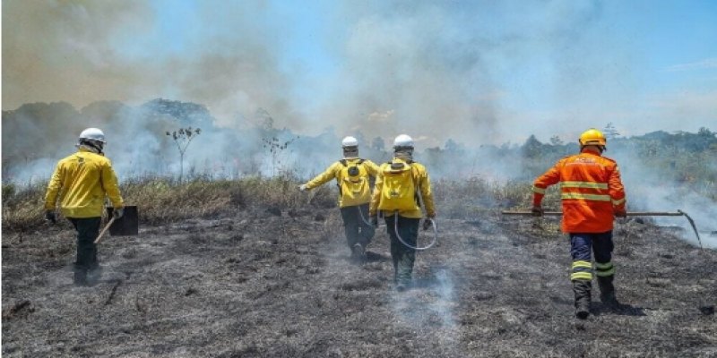 ACRE: Inscrições abertas para brigadistas florestais com  bolsa de até R$ 2 mil