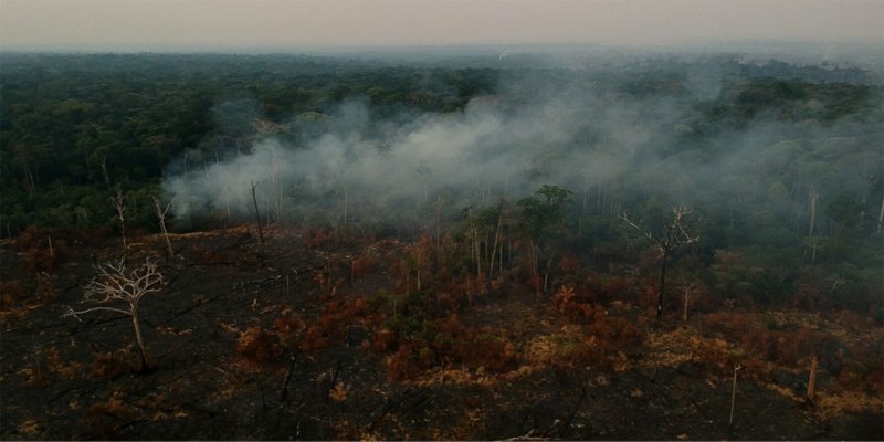 SUL DA AMAZÔNIA: Pecuária lucrativa pode ampliar desmatamento na Amazônia, aponta estudo