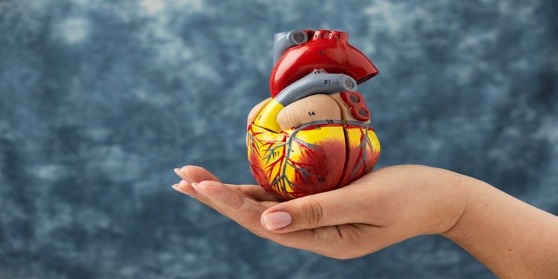 TESTE SIMPLES: Genética ajuda a revelar riscos invisíveis para o coração 