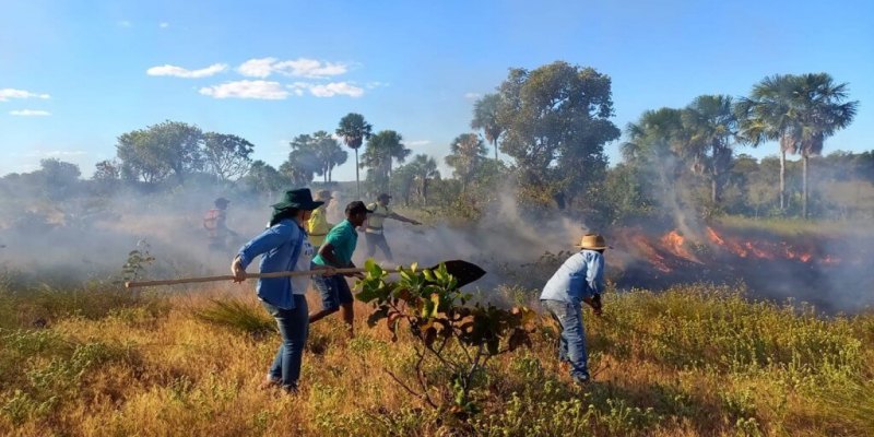 CONTRA QUEIMADAS: Nova cartilha orienta uso planejado do fogo para reduzir incêndios florestais 