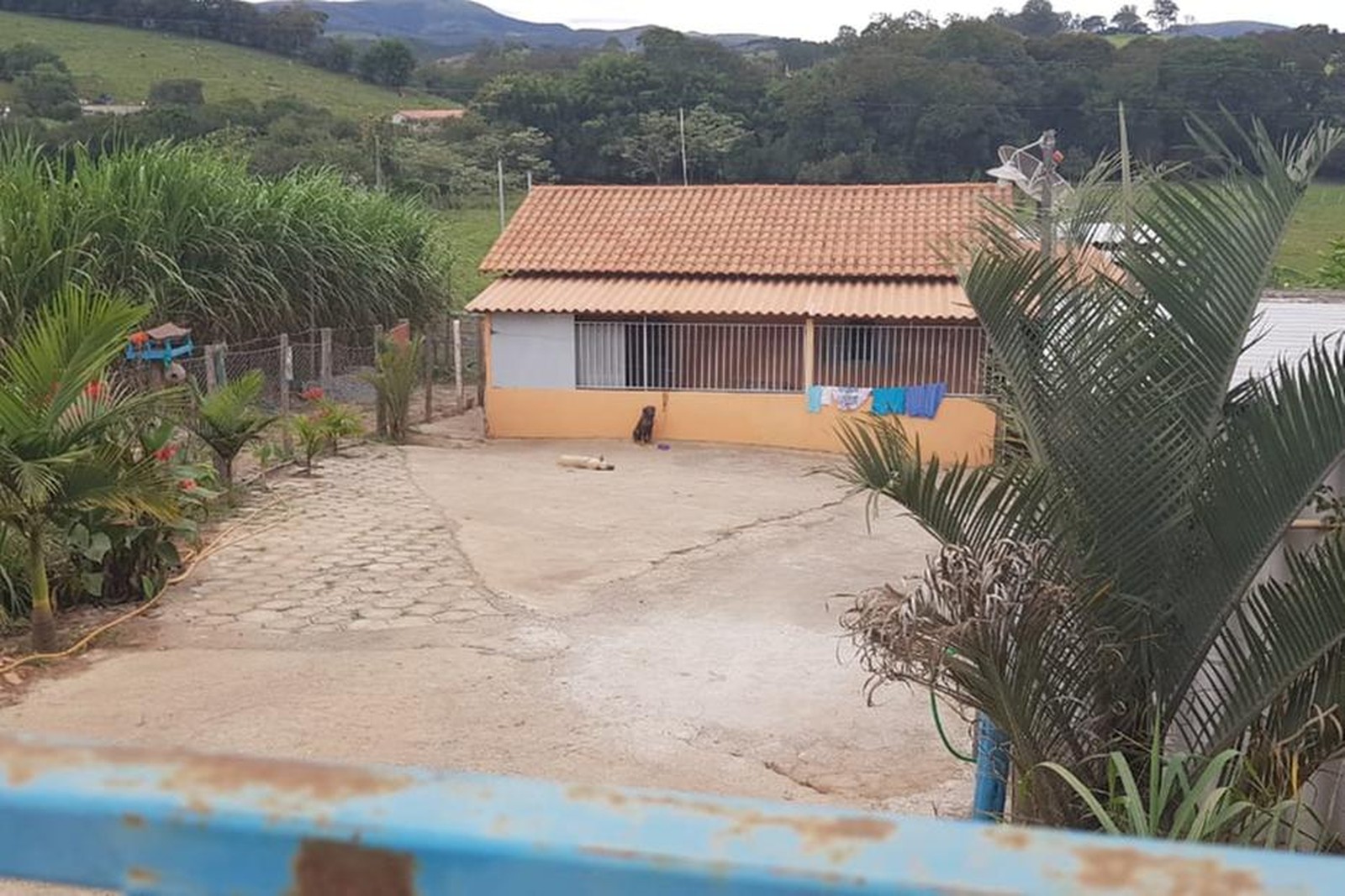 Casal usava cachorro para espantar criminosos em sítio — Foto: Polícia Militar do Meio Ambiente